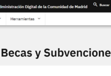 Guía de estímulos económicos en Madrid: Inyección de capital público para pymes, autónomos y vivienda en 2026