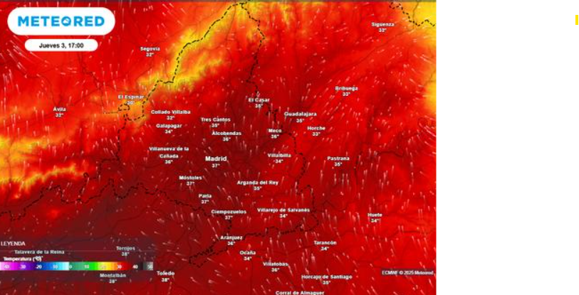 Ola de calor en Madrid: temperaturas de hasta 42 ºC ponen en alerta a toda la Comunidad
