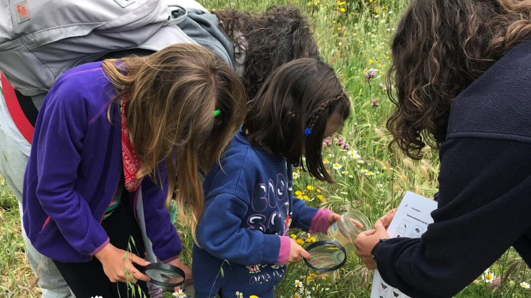 La Comunidad organiza más de 200 actividades gratuitas para descubrir el patrimonio natural este otoño